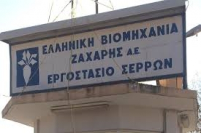 Royal Sugar SA adheres to the rescue and viability plan of the EVZ Serres sugar factory